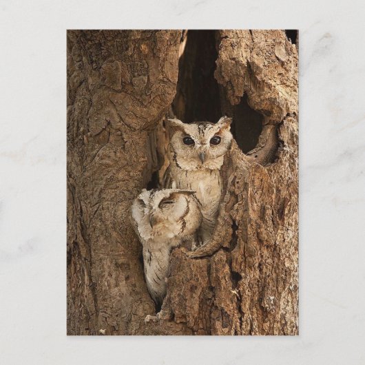 Kaarten, Briefkaarten, Stickers Briefkaart (Voorkant)