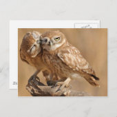  Kaarten, Briefkaarten, Stickers Briefkaart (Voorkant / Achterkant)