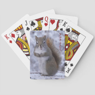Kaarten spelen met de heer Bickles de eekhoorn