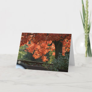 KAARTEN VAN DE NOTA VAN DE BOMEN VAN DE HERFST DE