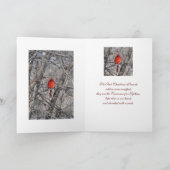 Kaarten van Janz Cardinal (Binnen)