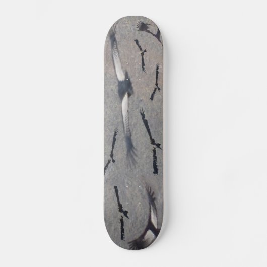 Kaarten voor condor skateboard (Voorkant)