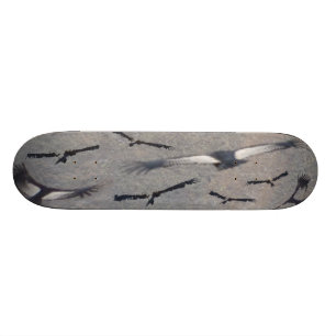 Kaarten voor condor skateboard