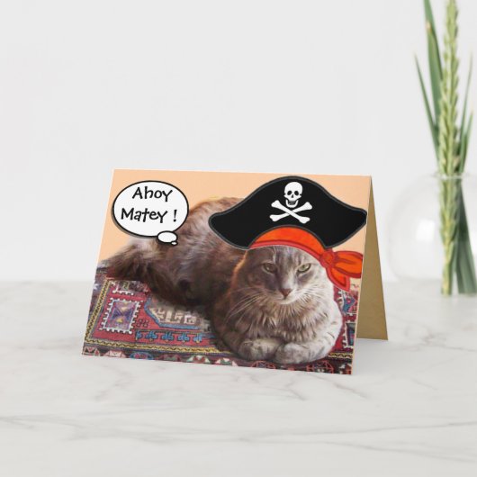 KAARTEN VOOR DE BEHANDELING VAN PIRATE KATTEN EN A (Voorkant)