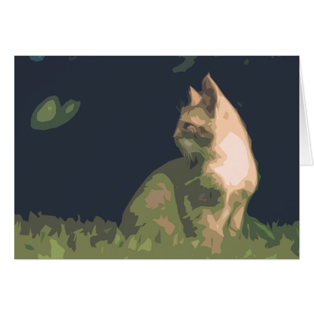 Kaarten voor dierengebruik (Voorkant Horizontaal)