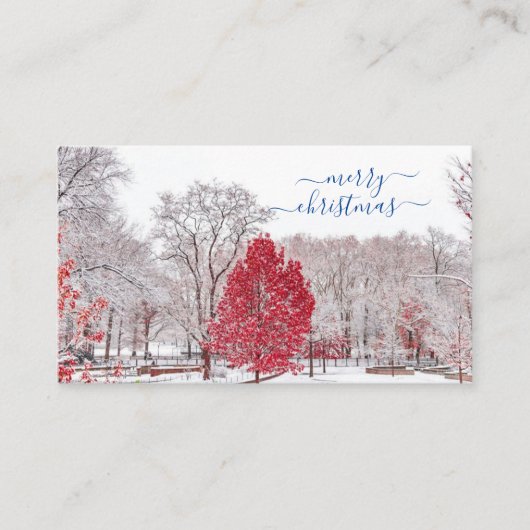 Kaarten voor pretkerst plaatskaartje (Voorkant)