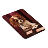 Kaarten voor puppy Speelt Magneet (Rechterzijde)