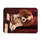 Kaarten voor puppy Speelt Magneet (Horizontaal)