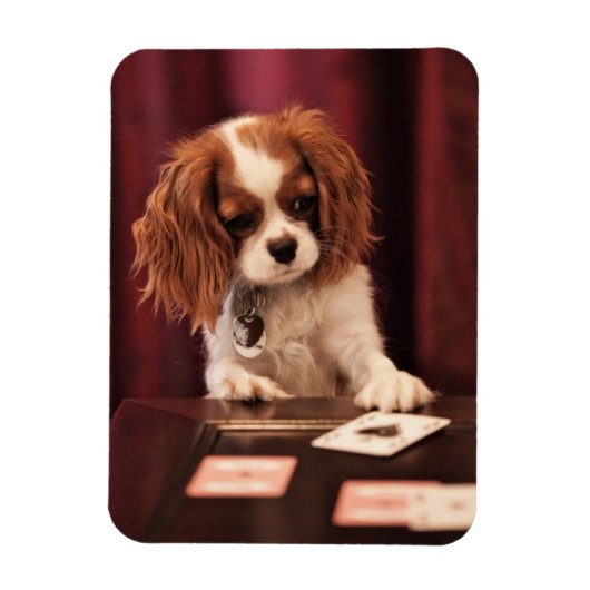 Kaarten voor puppy Speelt Magneet (Verticaal)