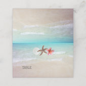 Kaarten voor tapijtschelp