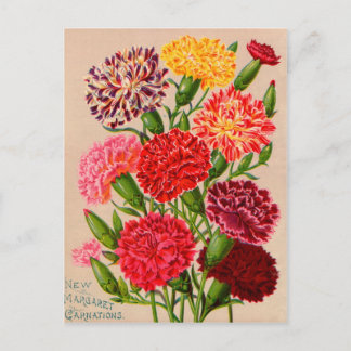 Kaarten voor  zaaizaad, postage en cadeaus