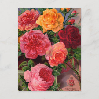 Kaarten voor  zaaizaad, postage en cadeaus