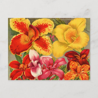 Kaarten voor zaaizaad, postage en cadeaus