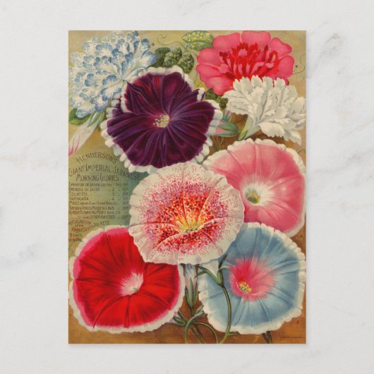 Kaarten voor  zaaizaad, postage en cadeaus (Voorkant)