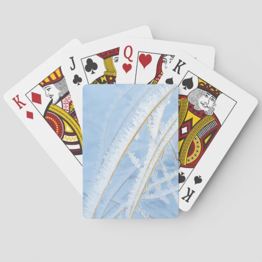 Kaartspel de vorst en goud pokerkaarten (Achterkant)