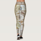 Kaarubs Leggings (Achterkant)