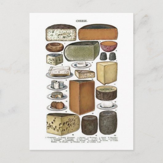Kaas Briefkaart (Voorkant)