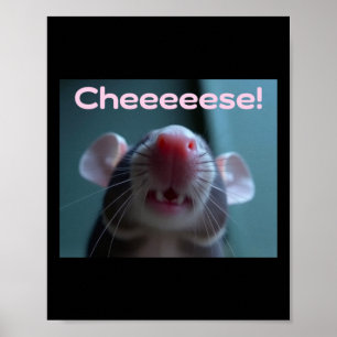 Kaas! Huisdierrat sticker Poster