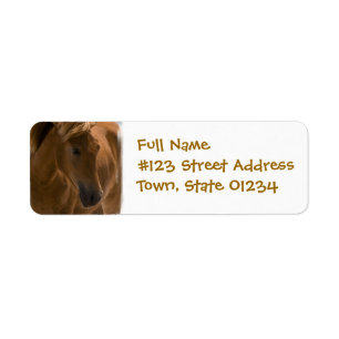 Kaas Paarden Design Return Label