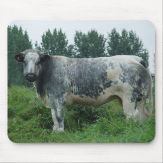 Kabeljauw Belgisch Blauw Muismat