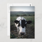 Kabeljauw Briefkaart (Voorkant / Achterkant)