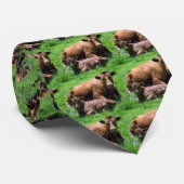 Kabeljauw en kalf stropdas (Opgerold)