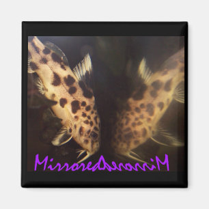 Kabeljauw (gespiegeld) magnet magneet