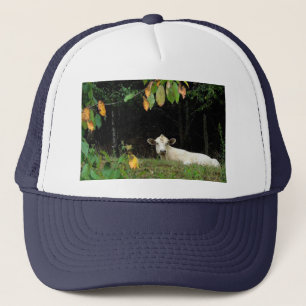 Kabeljauw in pasta trucker pet