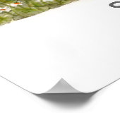 kabeljauw poster (Hoek)