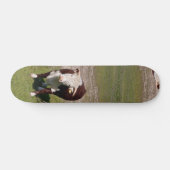 Kabeljauw Skateboard (Horizontaal)