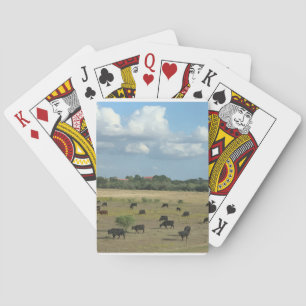 Kabeljauw voor het afspelen van grasland pokerkaarten