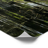 Kabeljauwbomen in moeras poster (Hoek)