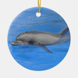 Kabeljauwdolfijn zwemmen keramisch ornament