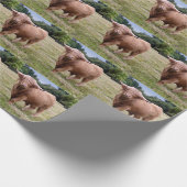 Kabeljauwpapier voor hoge kwaliteit cadeaupapier (Hoek)