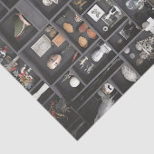 Kabinet van de Curiosities Shelves Tissuepapier (Detail)