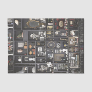 Kabinet van de Curiosities Shelves Tissuepapier