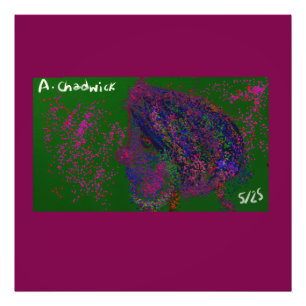 Kabouter Quiltpatroon Foto Afdruk