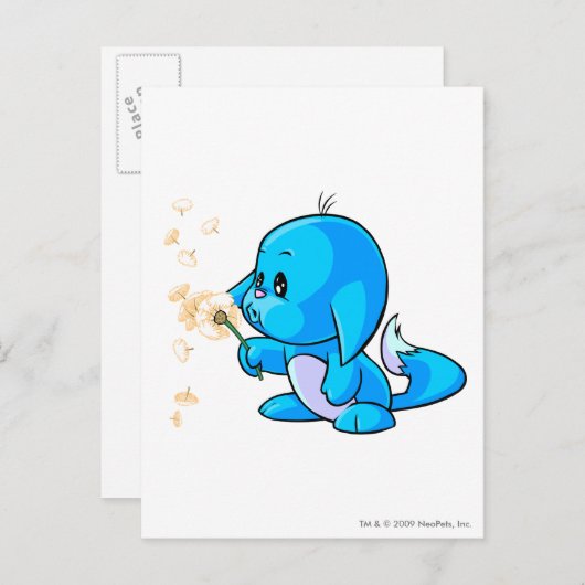 Kacheek Blue Briefkaart (Voorkant / Achterkant)