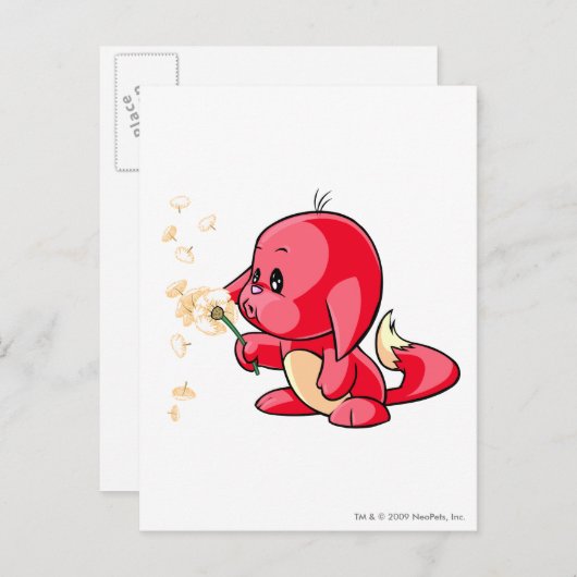 Kacheek Red Briefkaart (Voorkant / Achterkant)