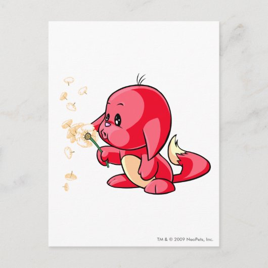 Kacheek Red Briefkaart (Voorkant)