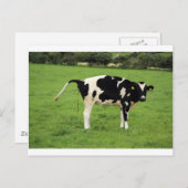 kackende Kuh Briefkaart (Voorkant / Achterkant)