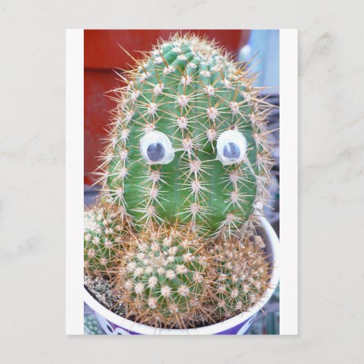 kactioog briefkaart (Voorkant)
