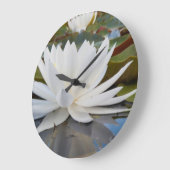 Kaddo-waterLily (Nymphaea Odorata) Grote Klok (Hoek)