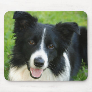 Kader Collie Dog toevoegen Tekstpakket Muismat