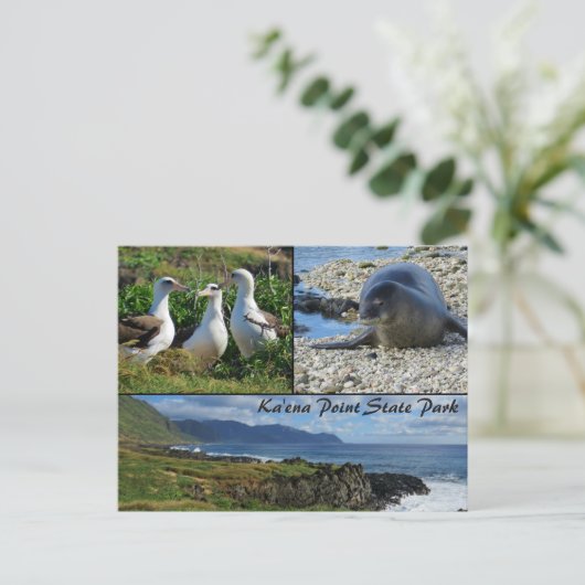Kaena Point State Park, Oahu, Hawaii Briefkaart (Staand voorkant)