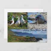 Kaena Point State Park, Oahu, Hawaii Briefkaart (Voorkant / Achterkant)