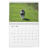 Kaeru Le Calendrier Husky (Mar 2026)