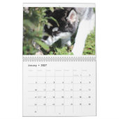 Kaeru Le Calendrier Husky (Jan 2027)