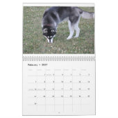 Kaeru Le Calendrier Husky (Feb 2027)