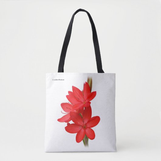 Kaffir-lelie / Rivierlelie / Hesperantha Coccinea Tote Bag (Voorkant)